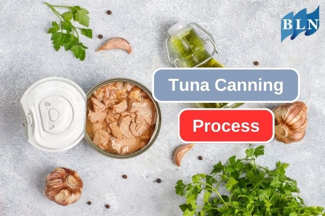 How Canned Tuna Making Process Works